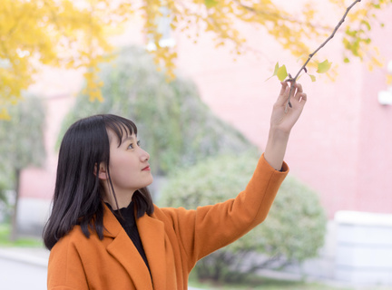 在菲律宾需要巨额罚款的一般是什么情况 这边来告诉您